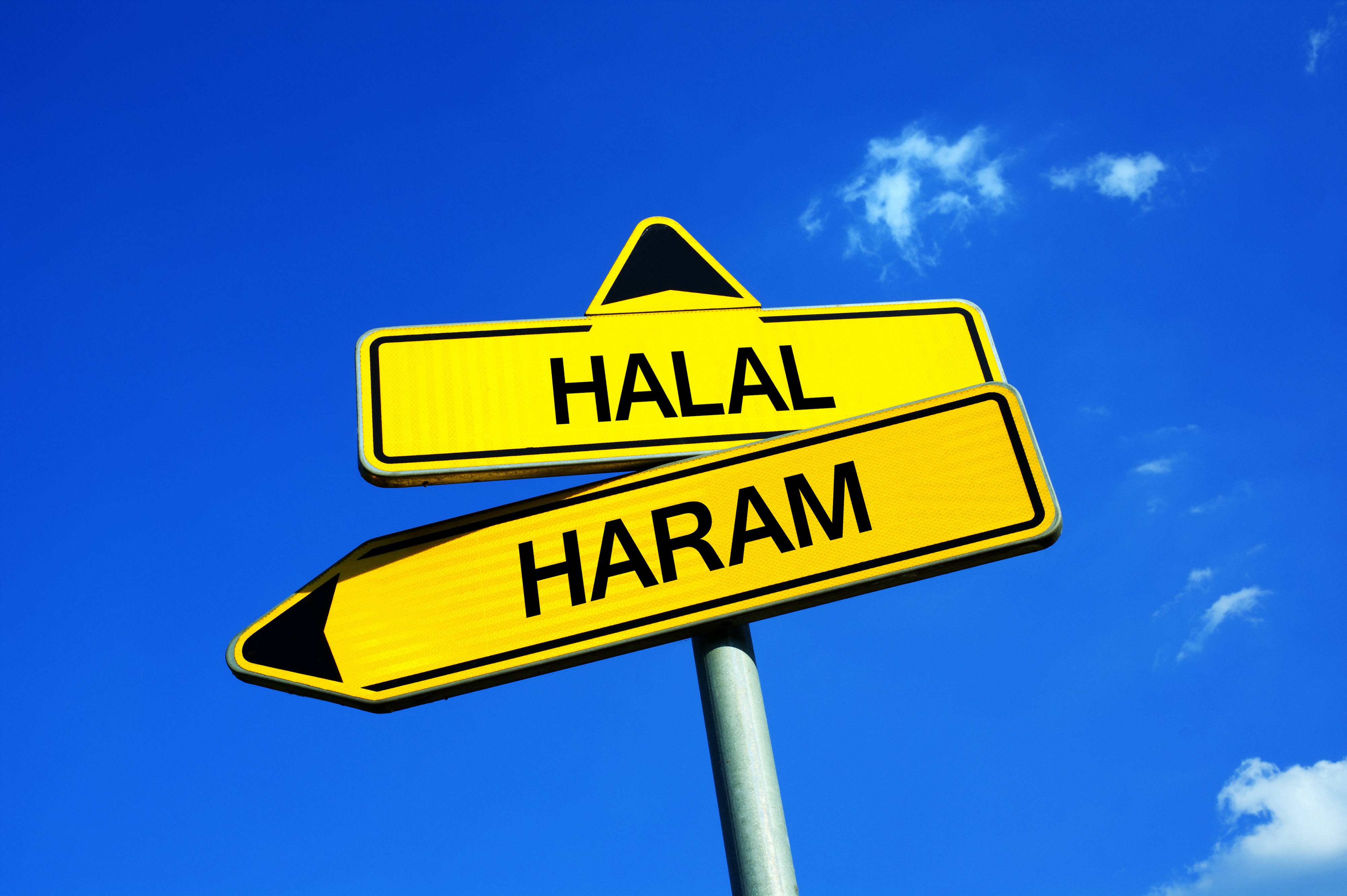 What is halal? What is haram? We break it down