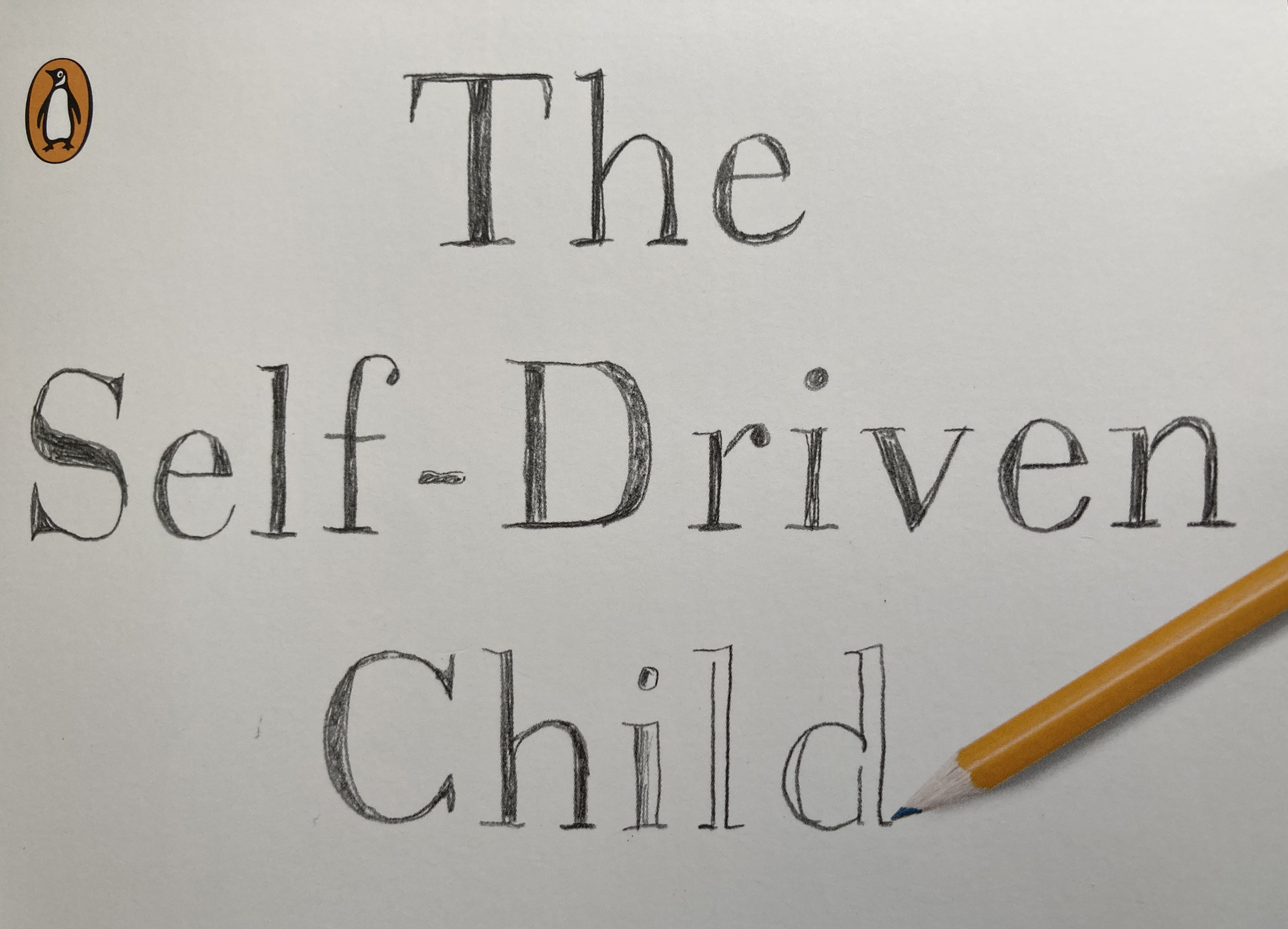 book-review-sound-advice-in-the-self-driven-child-soundvision